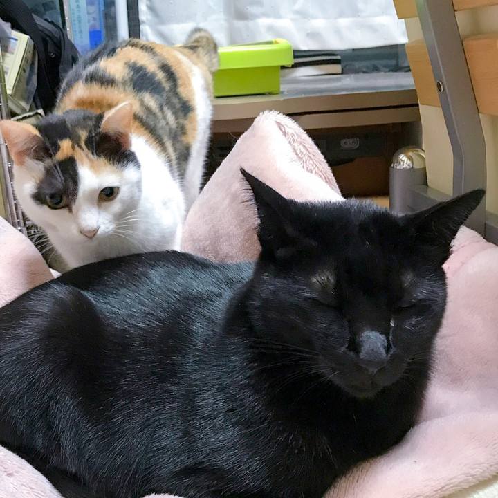 9b8411c9 bad8 482e b3ce 45cbde7a4412 1510190990597