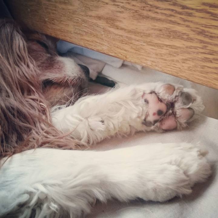 9b841488 33e2 4513 ac69 857407c33230 1549175720327