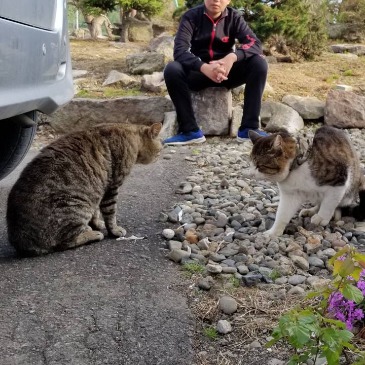 9b84342d 775b 40a5 9010 da5a20016622 1590654556384