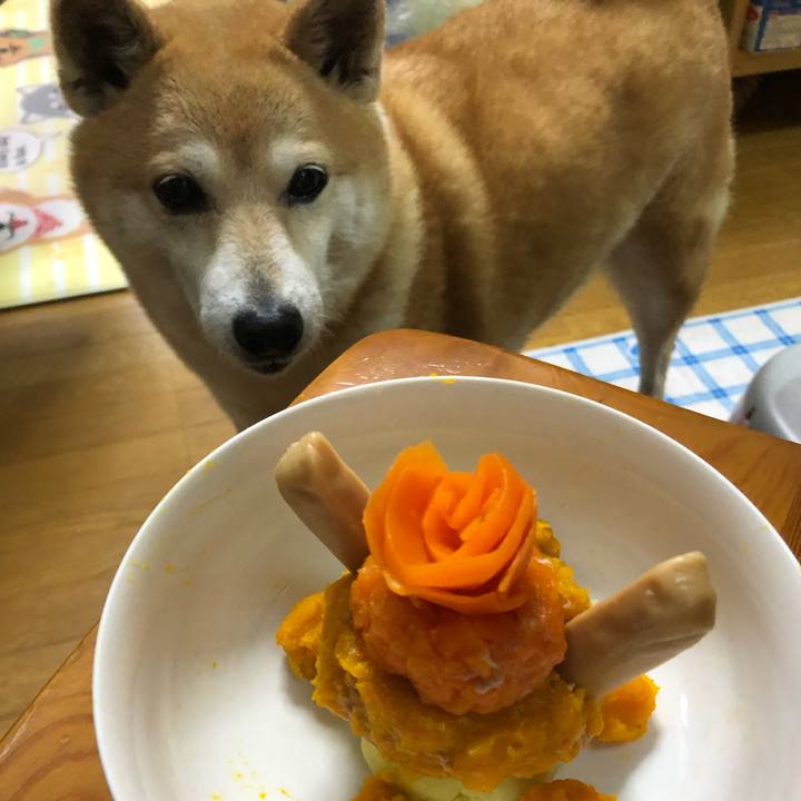 9b844b81 faa6 466c 8036 d8e15c1e07d0 1589190350248