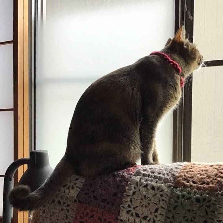 9b845a91 0d52 43b5 81ce c04d69ccdf6e 1601002414148