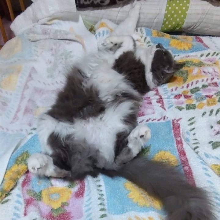 9b845c1f 37ed 4974 8d19 efb03b46d39b 1664970233229