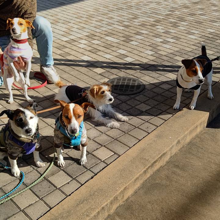 9b8479e0 3578 4c84 84aa 34f0bc60b5a3 1673178046417