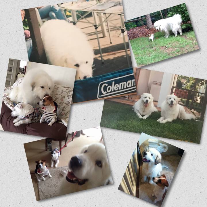 9b8483ec 5272 43ab 994e ecbdc29d4e42 1531275420410