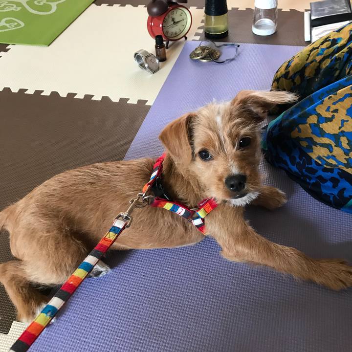 9b84936b 8cef 4823 89ec b3c6d484af66 1520999948365