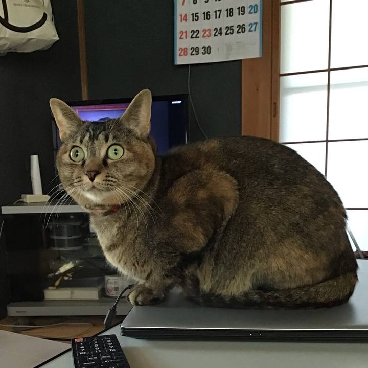 9b84c258 1362 4bb7 9a7b 7ef5592d3f82 1637198239162