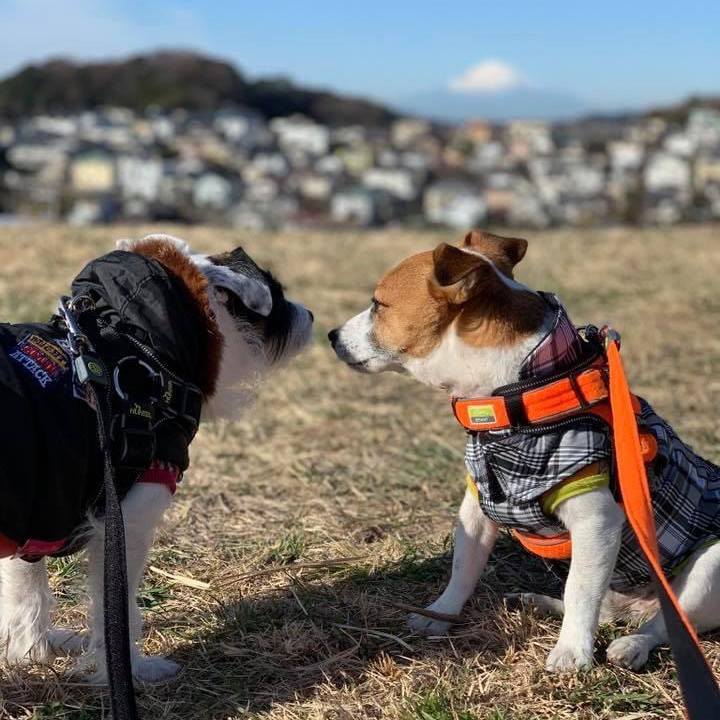 9b84c901 14b4 4d1b 936a 3ce95e9c3c39 1673429579744