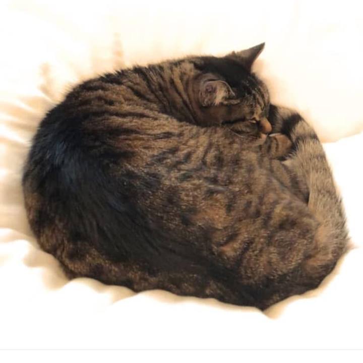 9b84cb73 c615 4316 8f7d 21e79da05d69 1774568096482