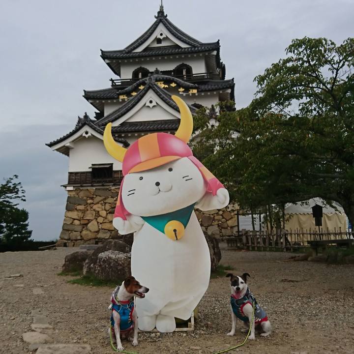 9b84e71f 4367 4efa 835a b146c3a124cb 1567382049506