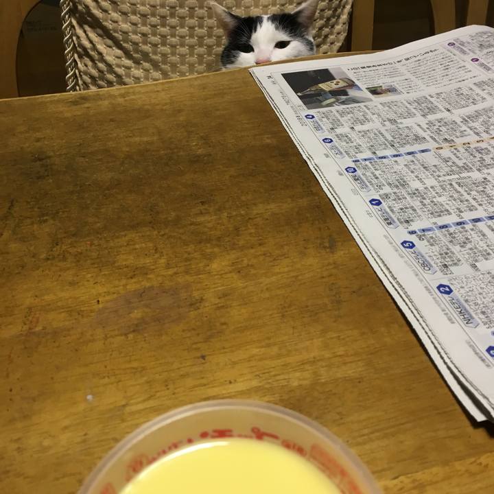 9b84f8a7 0682 44fe b610 1fecf24cadb7 1532695708678