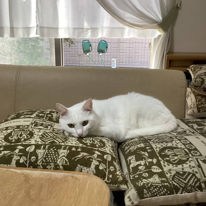 9b84ff79 33f2 450a 8b9b 6babcd10c6b8 1659062022942