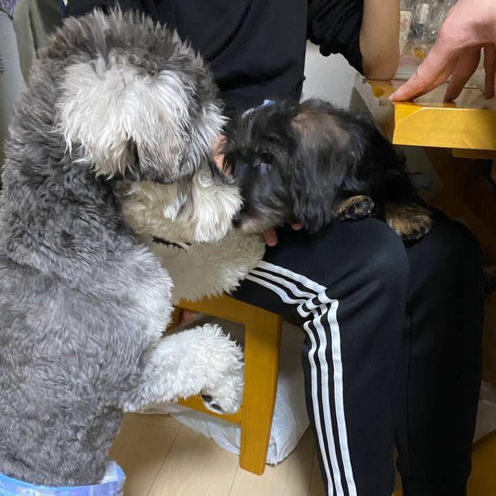 9b8500ce ee2b 4f4b a638 e6ce28950bc1 1586350519140