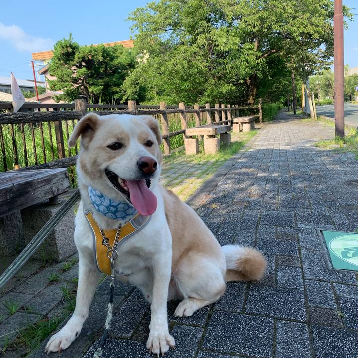 9b855974 df78 4992 9747 1be7480925dd 1564529658646