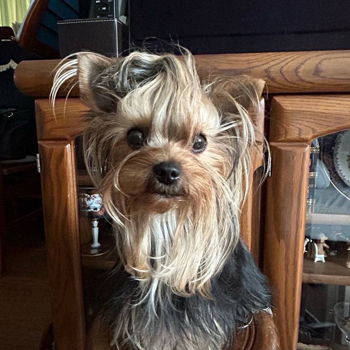 9b8576d1 57c8 4c15 81e9 72f3293390b0 1687485314821