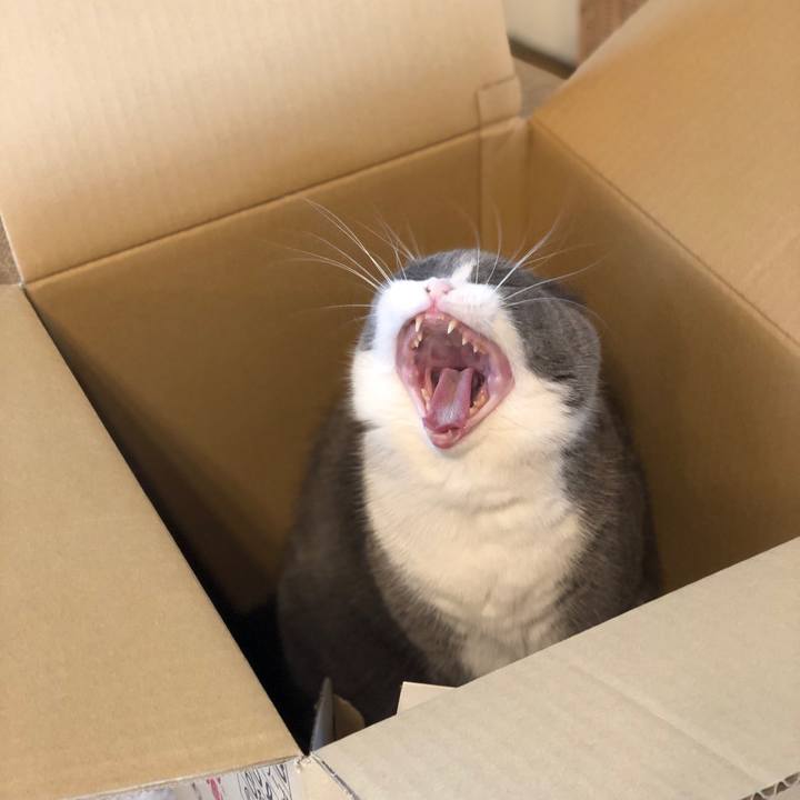 9b858b7a 89a4 4ba4 abc4 c36683cdc5b9 1554160062136