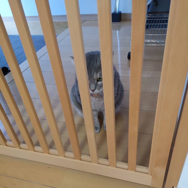 9b858c29 2f42 4d6b a1ee e253726fcc72 1596514899568