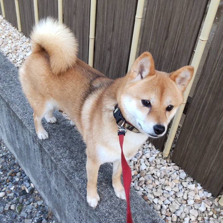 9b85928a 63b4 4145 ad15 0e74999dff64 1654291698964