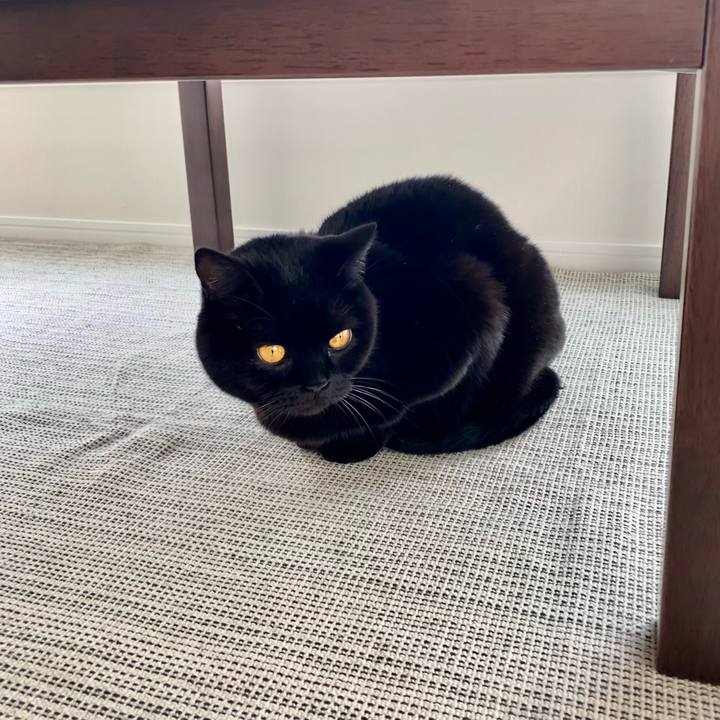 9b85ee23 70f2 4141 a454 97e6f2c5d96c 1644023647622