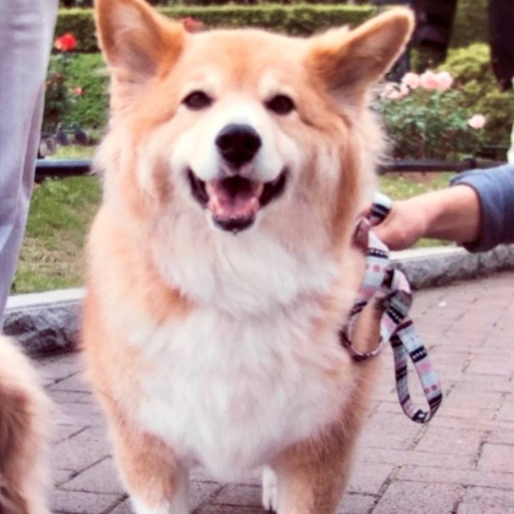 9b86012e 3893 41c8 a27e c623fe9e4d91 1546239161925