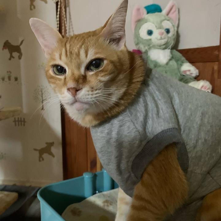 9b862e67 15c2 47a8 b779 c42e50819e4d 1640699683092