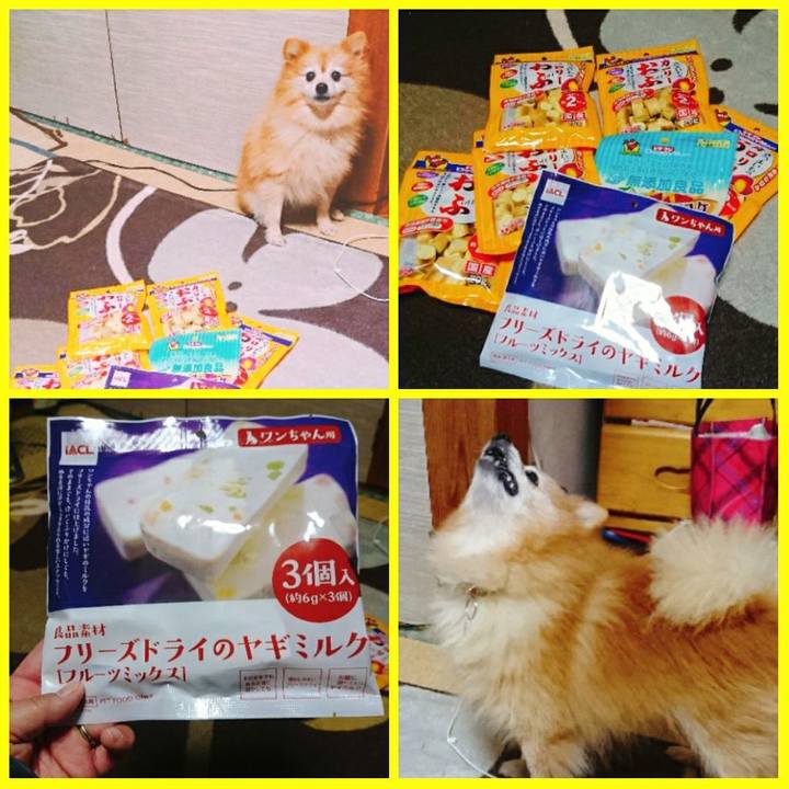 9b865208 ce5d 42c0 abb2 700a58a8b67b 1512979672258