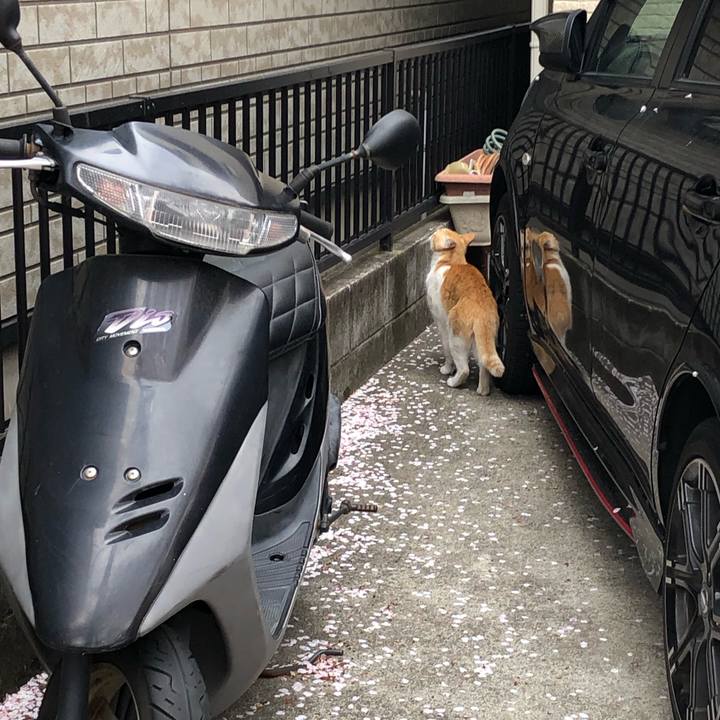 9b868649 4c77 4557 8c31 7187852221a2 1555082217651