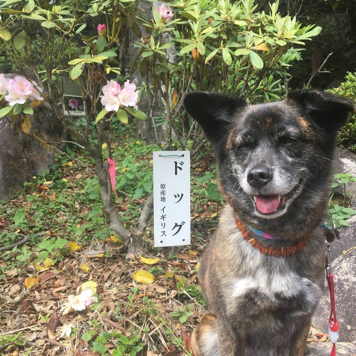 9b868e10 070a 4fcb b1b2 9acac0ec9835 1557123498474