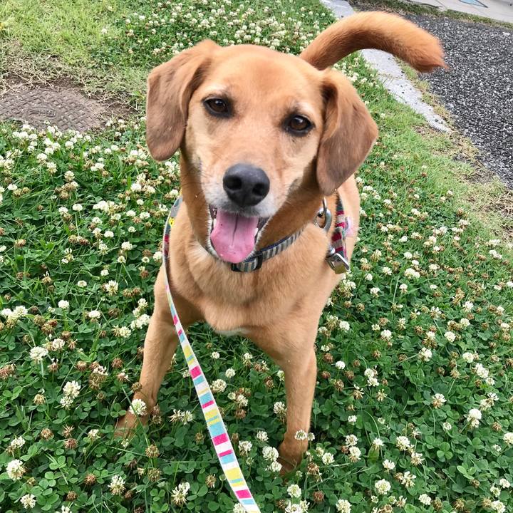 9b8693f2 1f55 434c b672 6d43ee1d0b4c 1560374109662