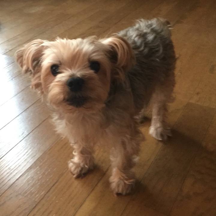 9b86cced 7c3c 4156 bd95 4997a88edede 1541321414444