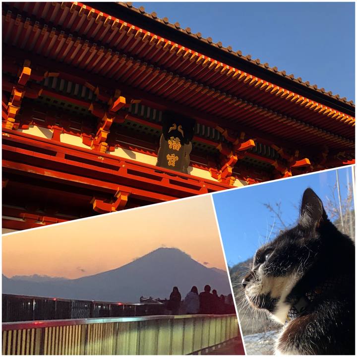 9b86cef6 46d1 4475 9b78 7f0a7e0cc279 1547979919045