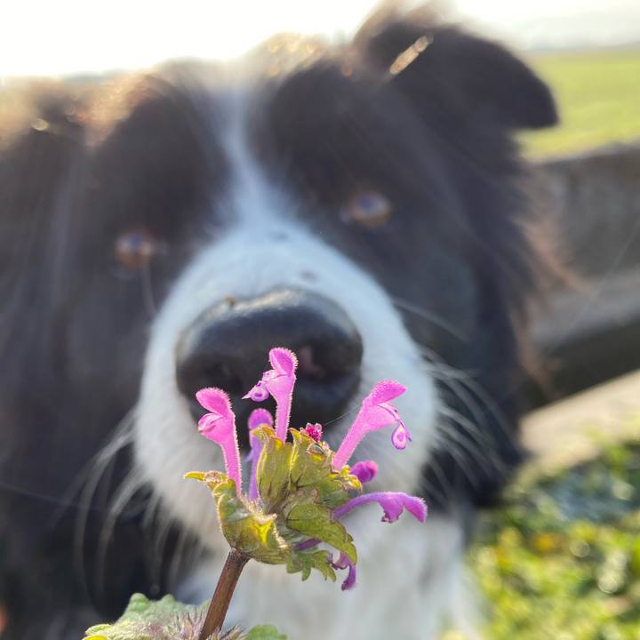 9b86ded3 067a 4408 ae5e 0964b49e9a59 1612482712332