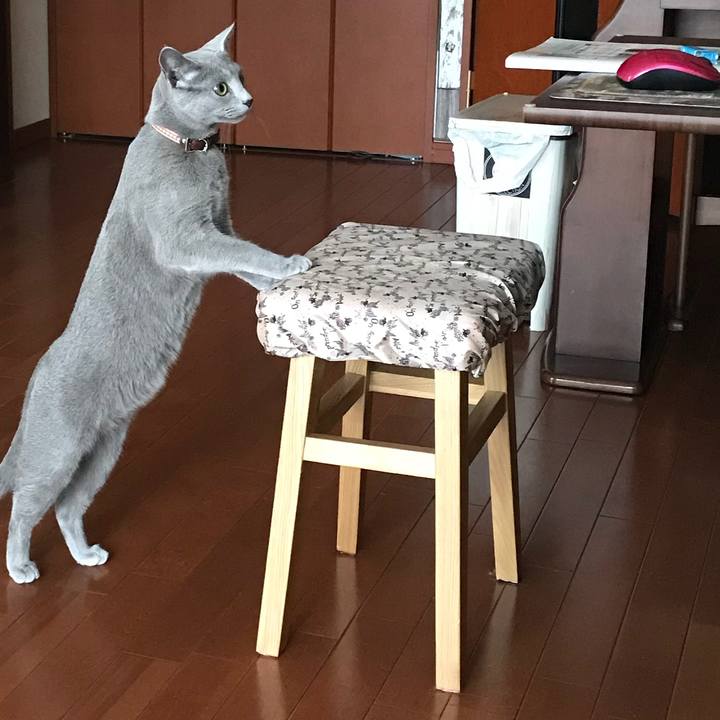 9b86e585 50ab 415c 9d2a 6d4a33f68ff5 1529888659201