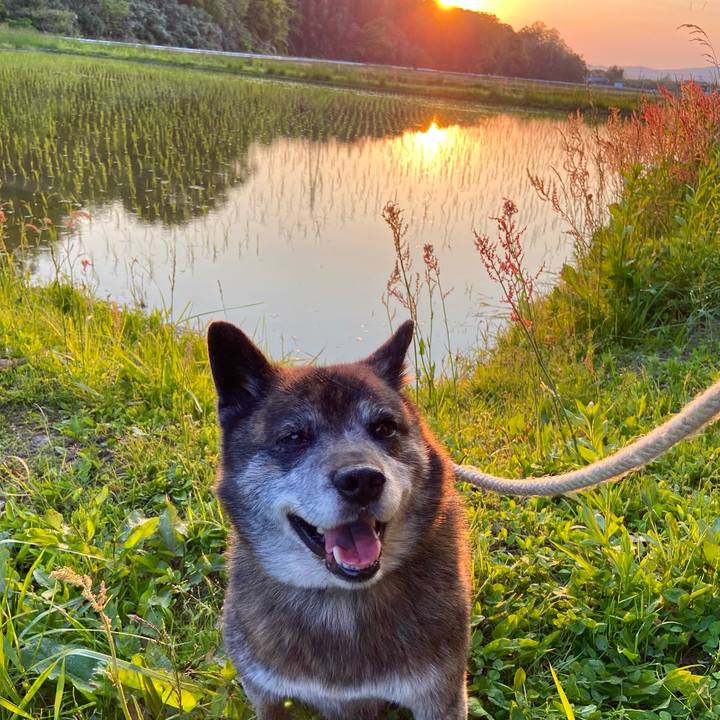 9b86f446 fc0e 4805 ac4f 429e13267b42 1652870384626