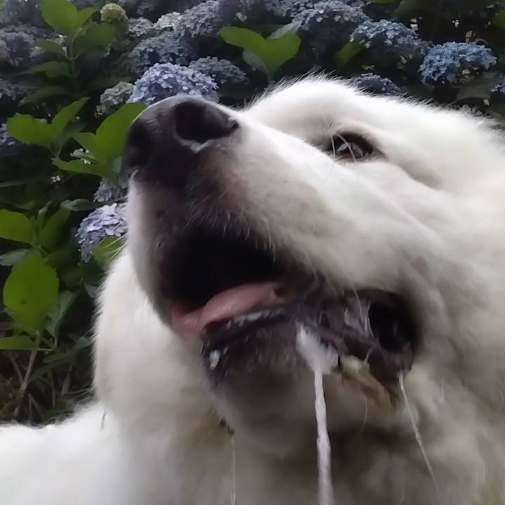 9b874a20 fd92 478c 9c0c d6bd9bf55336 1686813200686