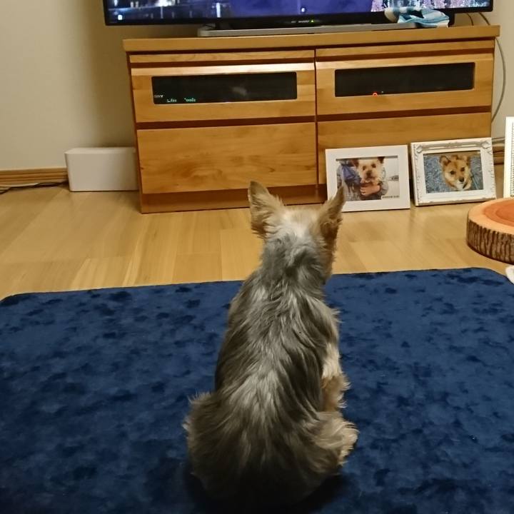 9b87c114 412b 47ed bd06 bf02647c58c9 1542368020328