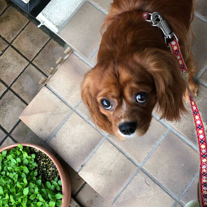 9b87c1ec 5d59 4dc8 aec1 83c1618ec087 1563833225877