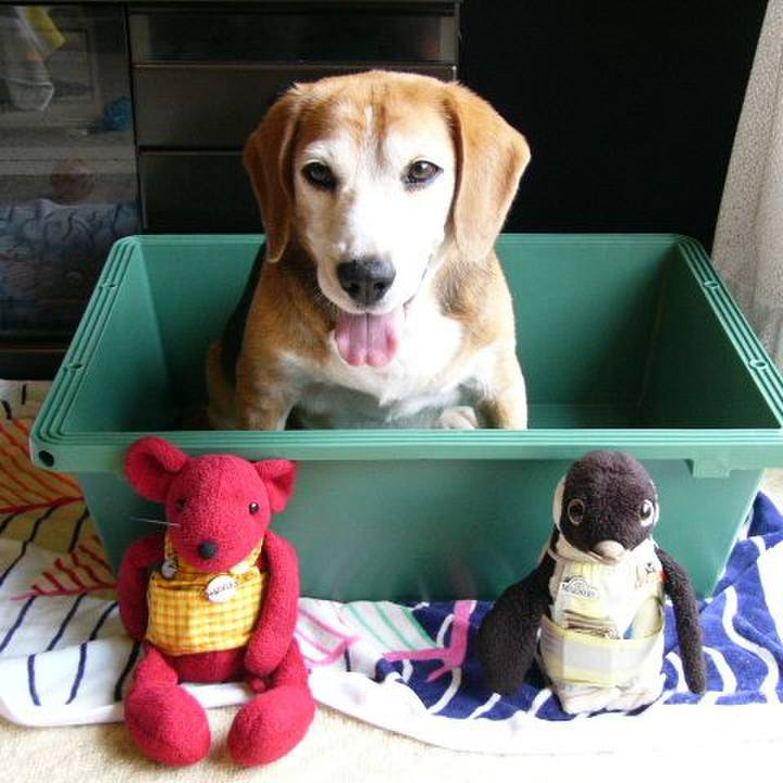 9b87d2b9 db75 463f b8b9 e24be2f09031 1639873616973