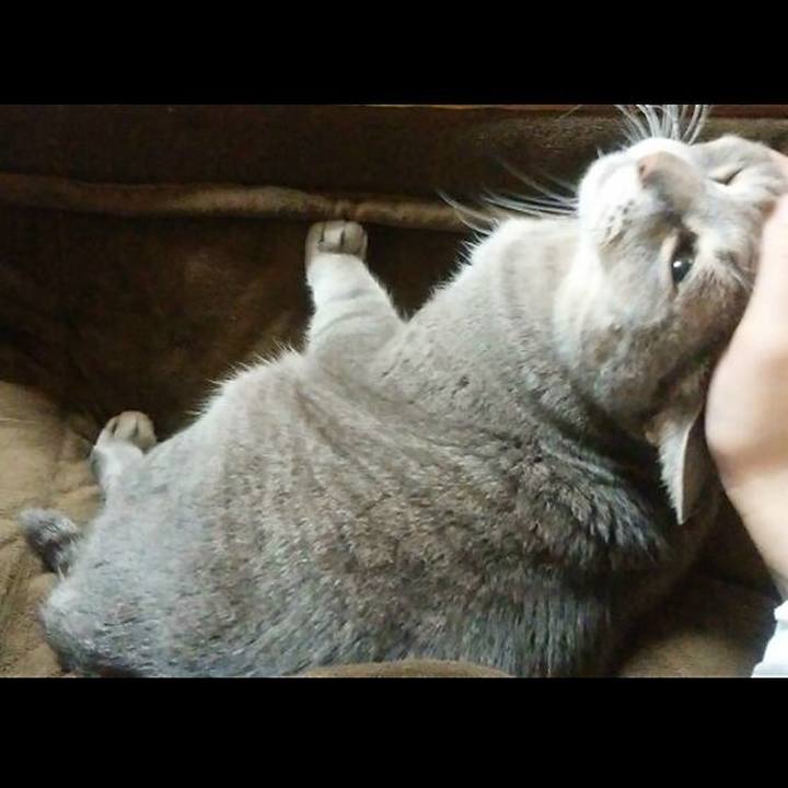 9b87fbab 9e7d 4dcc 9b62 27794d5b0486 1574894775027