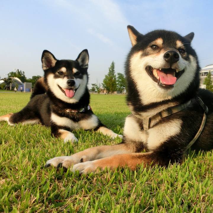 9b882898 dfd1 473e 8568 cb79a6c906c5 1508800582655