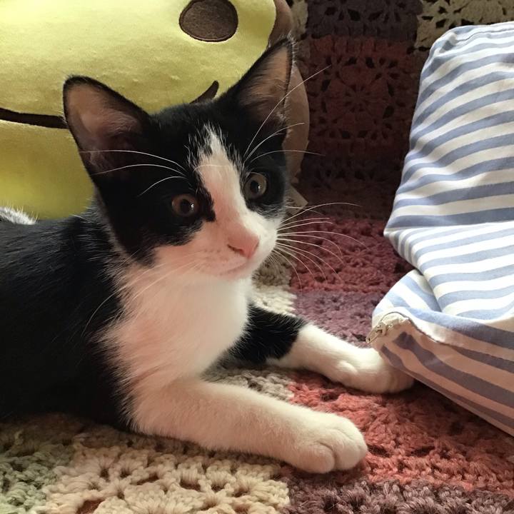 9b883707 db9e 41e6 a56f 43a8024d1035 1627438164687