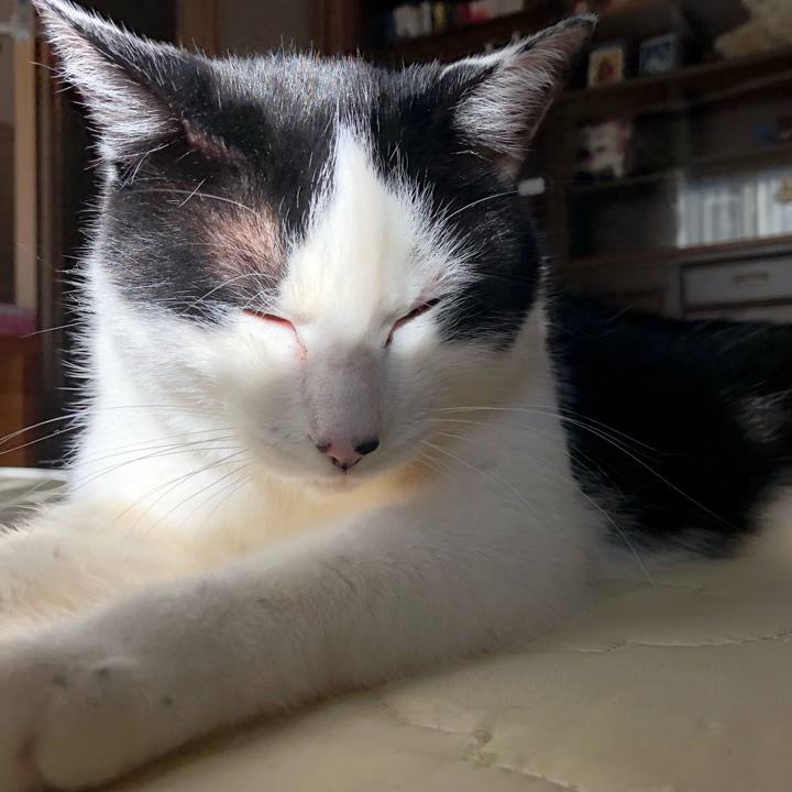 9b8844ab 5a0b 43e9 a6d3 257f9a414193 1577074289014