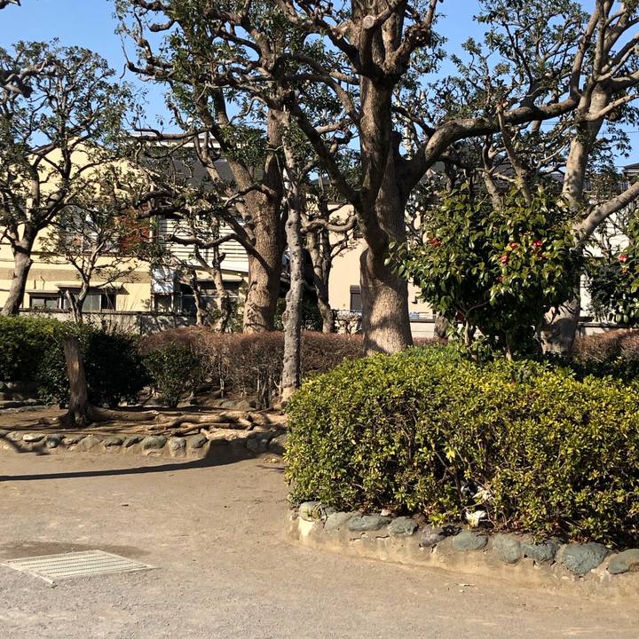 9b88674e 1c2e 4186 9c8b 314b6cfc75f6 1550750369669