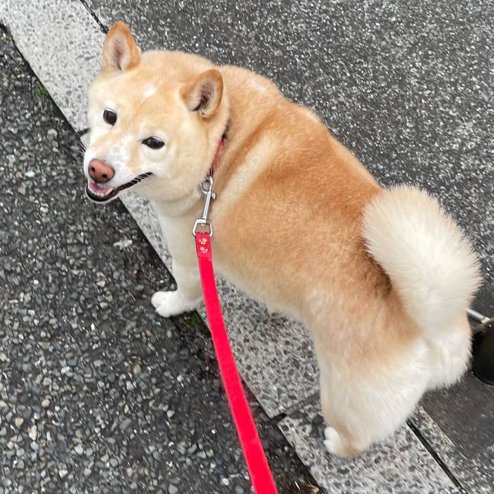 9b88689b 1cef 4db9 8a62 825f796f4630 1741898496378