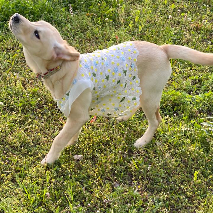 9b88e29e 666d 4d2b 92eb 757cc622d0ec 1618738567593