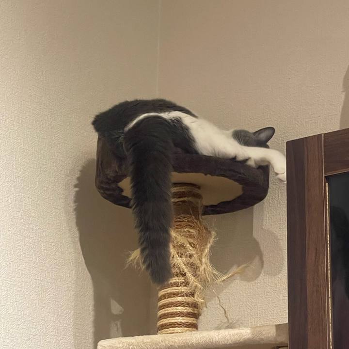 9b88e744 5160 4dde bd28 46739bd3da44 1757596155905