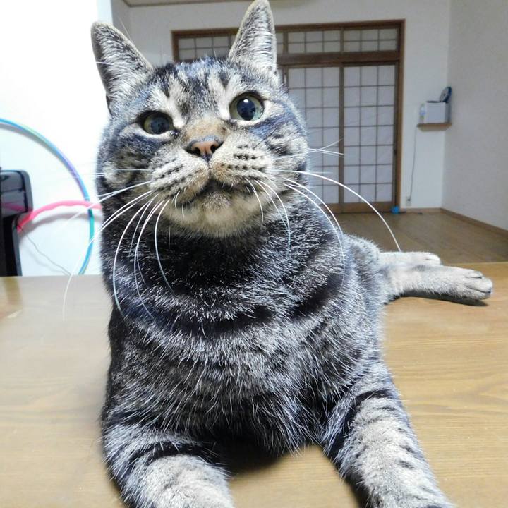 9b88f858 382c 41b2 b6af 698487e685fd 1570259115273