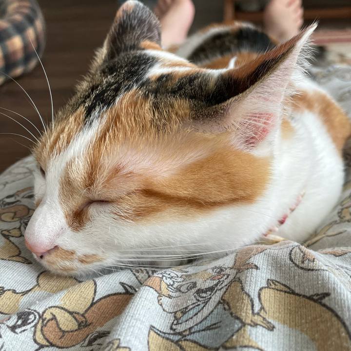 9b88fd7f d530 480f 8f7a 934905965938 1629243216302