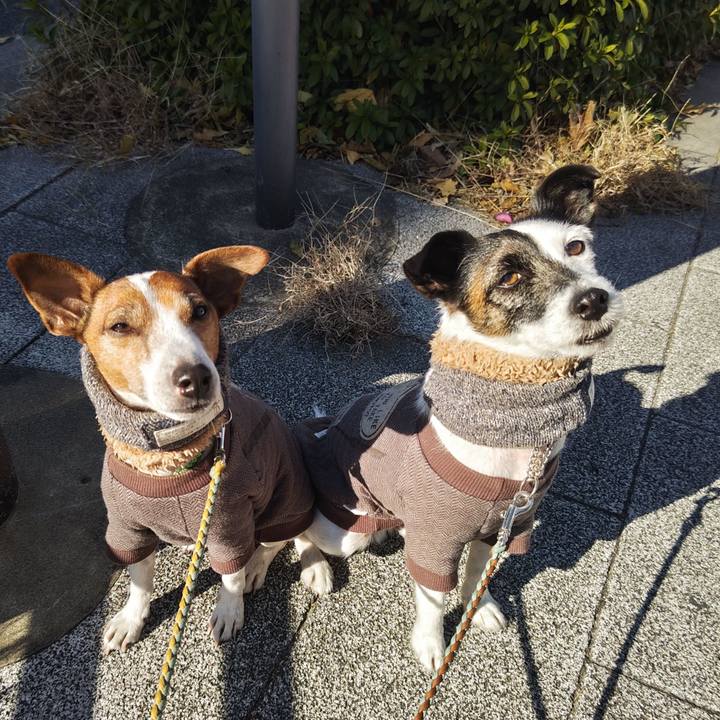 9b890bca a208 435b bcd0 477c9aa58766 1735699289236