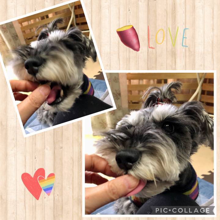 9b892b4d 49f9 401a bbf9 b990c6b90949 1700876302017