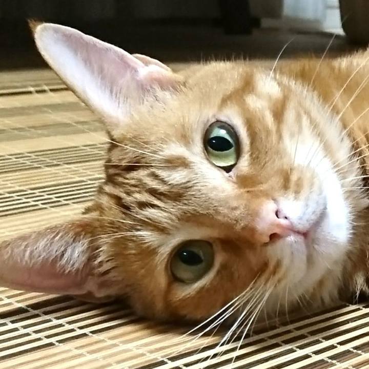 9b892e9c 1ecb 47d6 9c8a 802a78393075 1530319248689